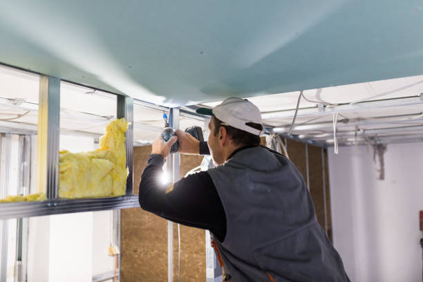 Best Eco-Friendly or Green Insulation Solutions  in Mantua, VA